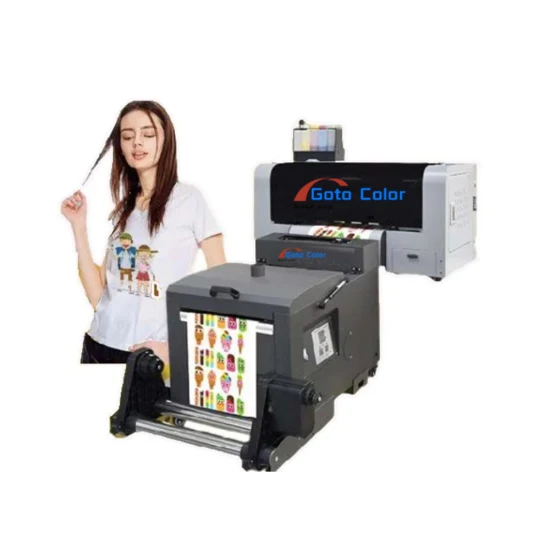 Stampante DTG Dtf diretta per indumento stampante per pellicole per animali domestici macchina da stampa digitale automatica per magliette 220V per tessuto